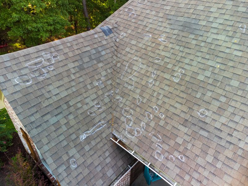 Asphalt Roof Inspection in Arvada, CO