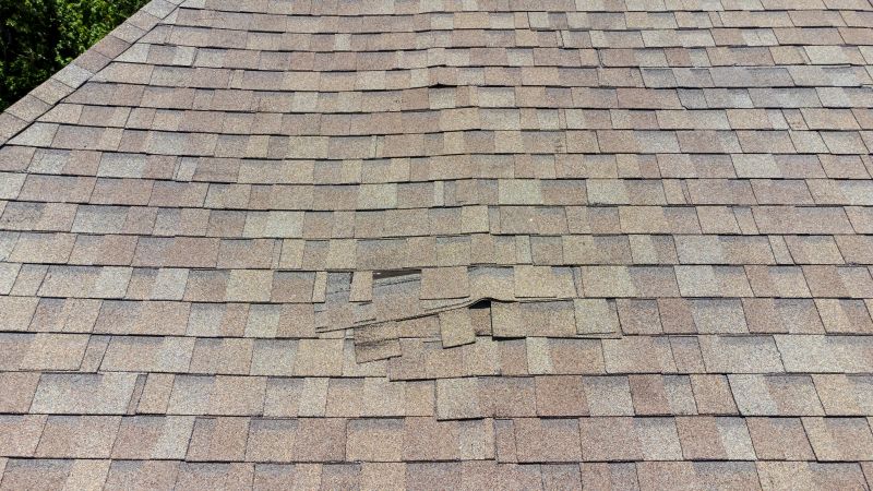 Asphalt Roof Inspection in Conifer, CO