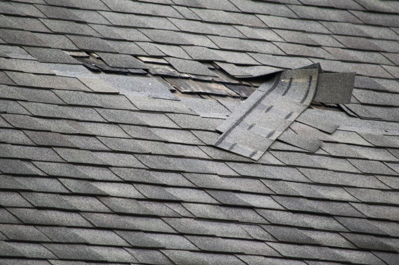 Asphalt Roof Repair in Arvada, CO