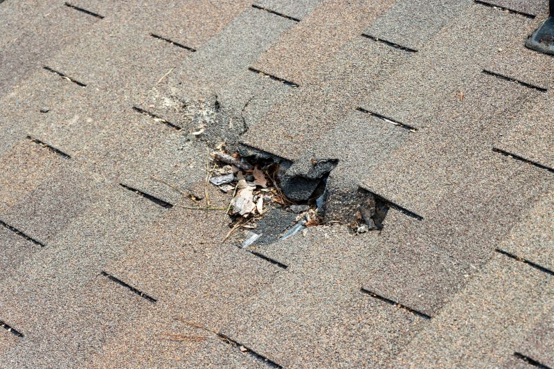 Asphalt Roof Replacement in Indian Hills, CO