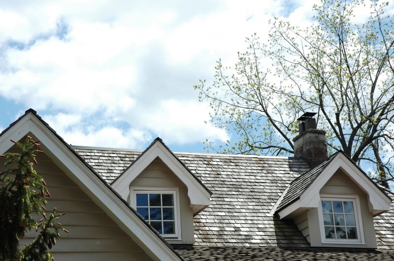 Cedar Roof Replacement in Evergreen, CO