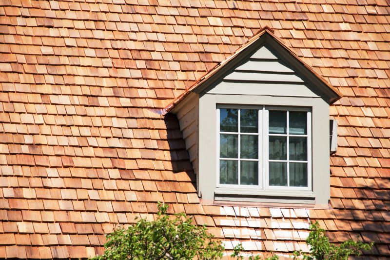 Cedar Shingles Replacement in Denver County, CO