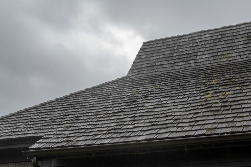 Cedar Shingles Replacement in Elbert County, CO