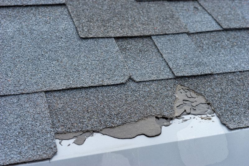 Damaged Roof Repair in Aurora, CO