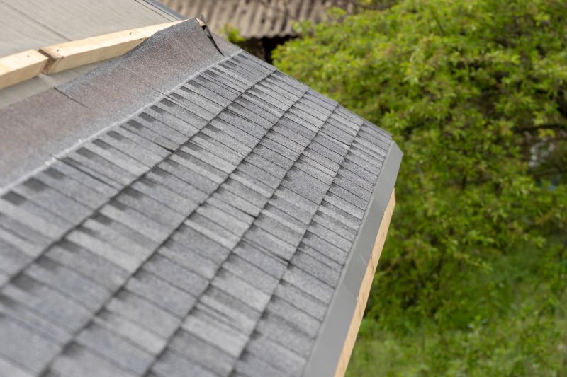 Damaged Roof Repair in Conifer, CO