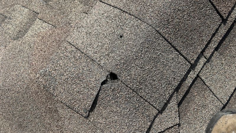 Damaged Roof Repair in Englewood, CO