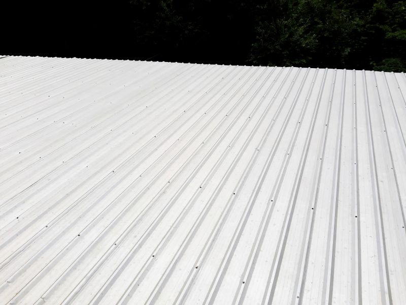 Galvanized Roof Repair in Littleton, CO