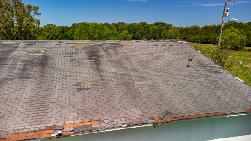 Hail Damage Roof Repair in Larkspur, CO