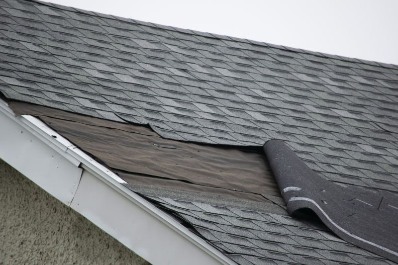 House Roof Repair in Denver, CO