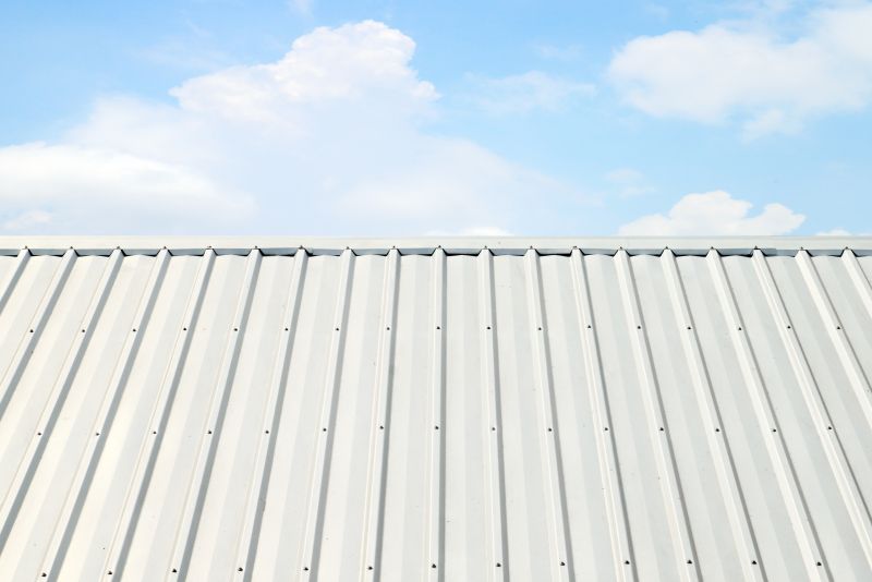 Metal Roof Coating Service in Littleton, CO