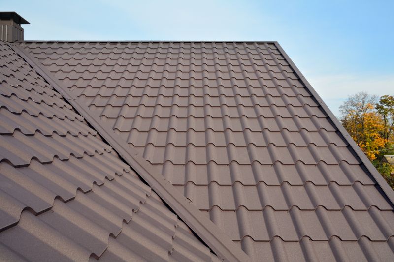 Metal Roof Installation in Parker, CO