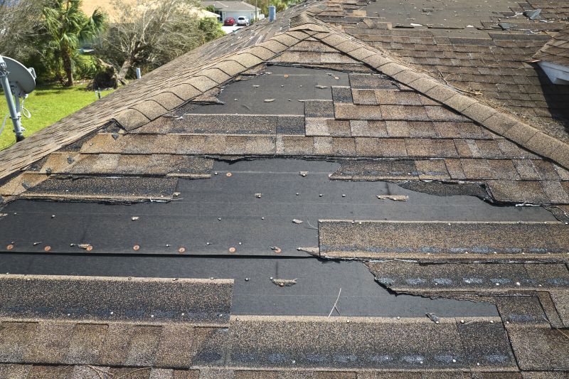 Roof Hail Damage Repair in Littleton, CO