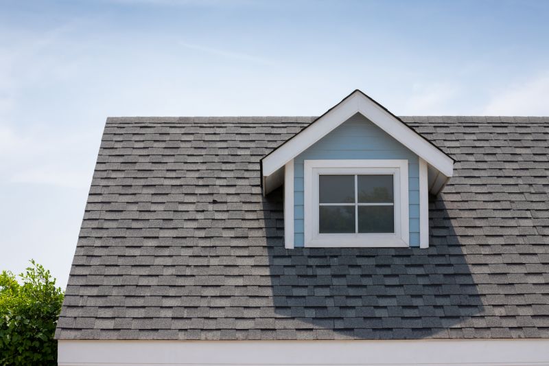 Roof Patching Service in Littleton, CO