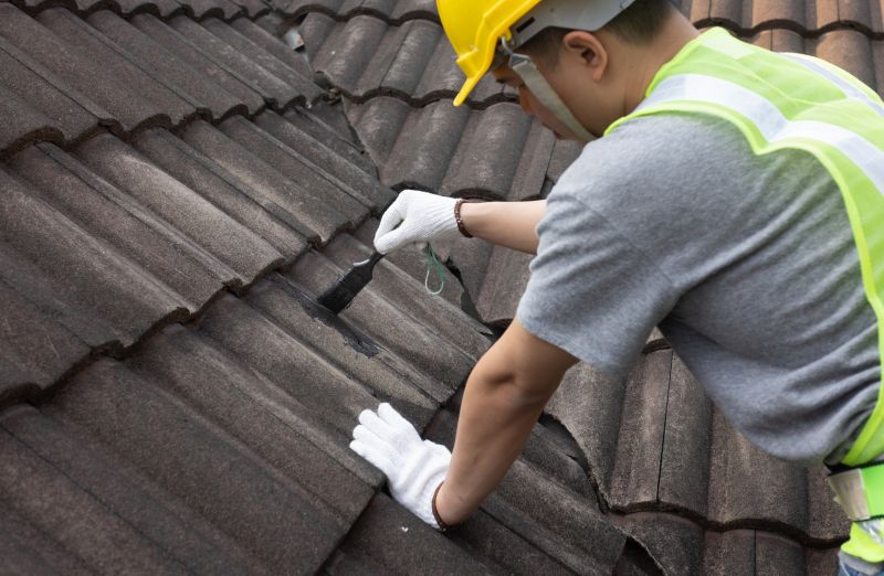 Roof Patching Service in Littleton, CO