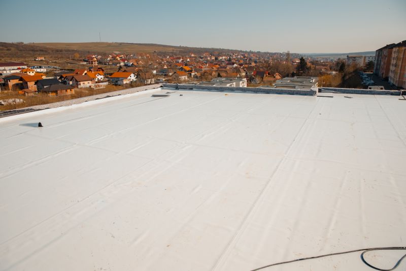 Rubber Roof Repair in Conifer, CO