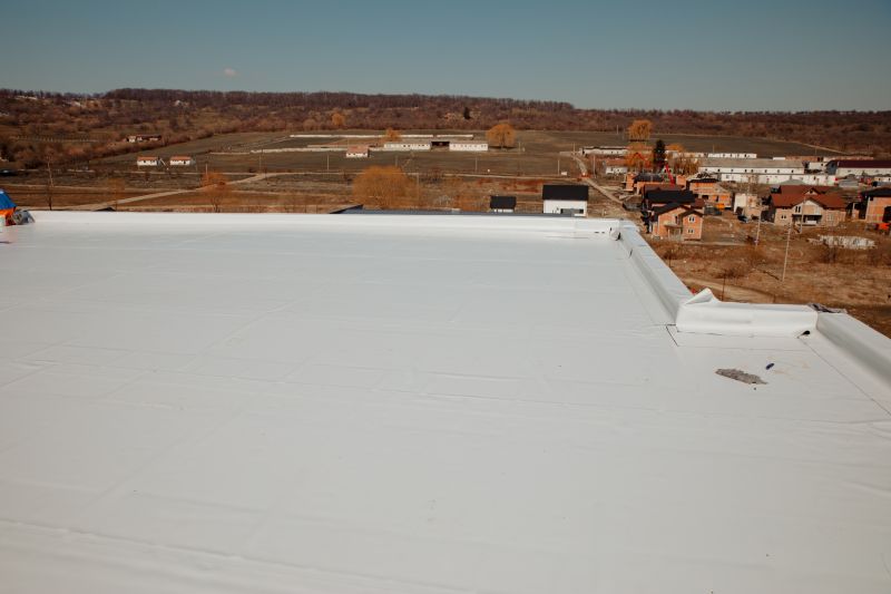 Rubber Roof Repair in Larkspur, CO