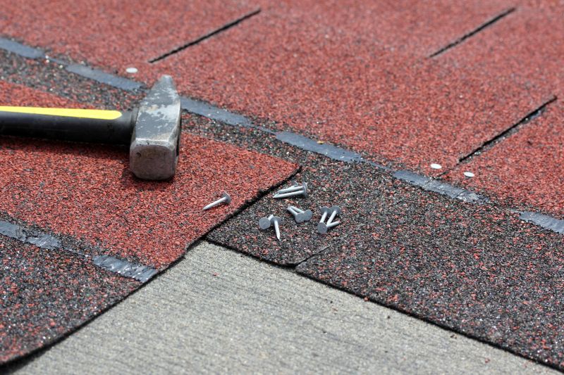 Shingles Repair in Denver County, CO