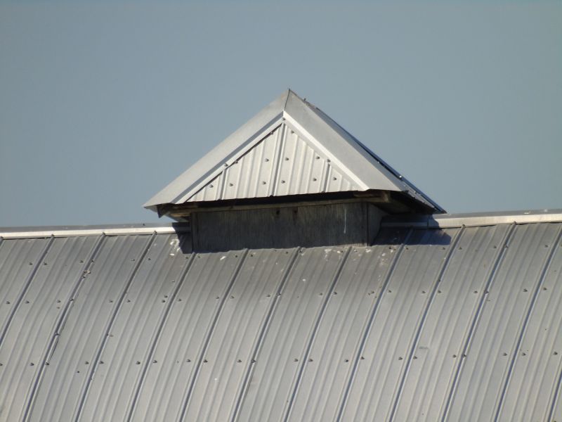 Tin Roof Installation in Castle Rock, CO