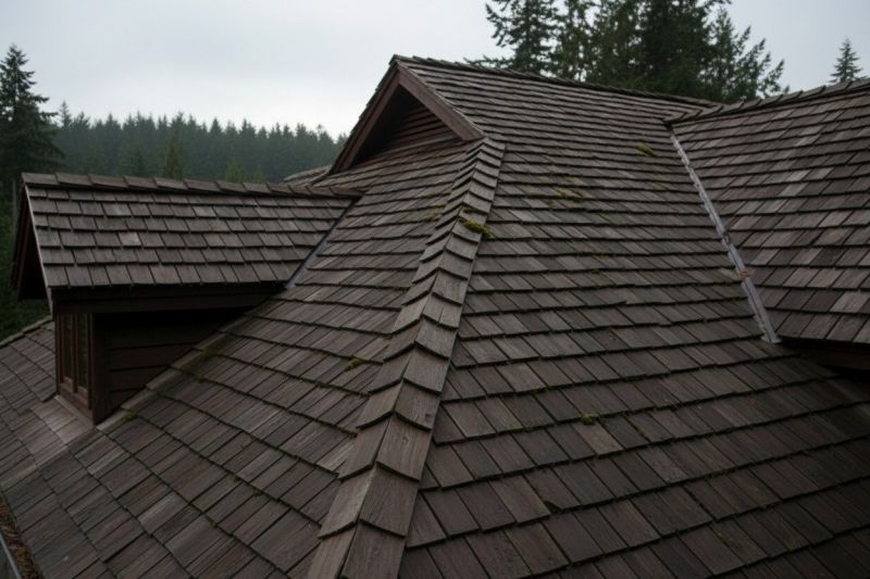 Wood Shake Roof Replacement in Parker, CO